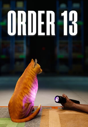 ORDER 13